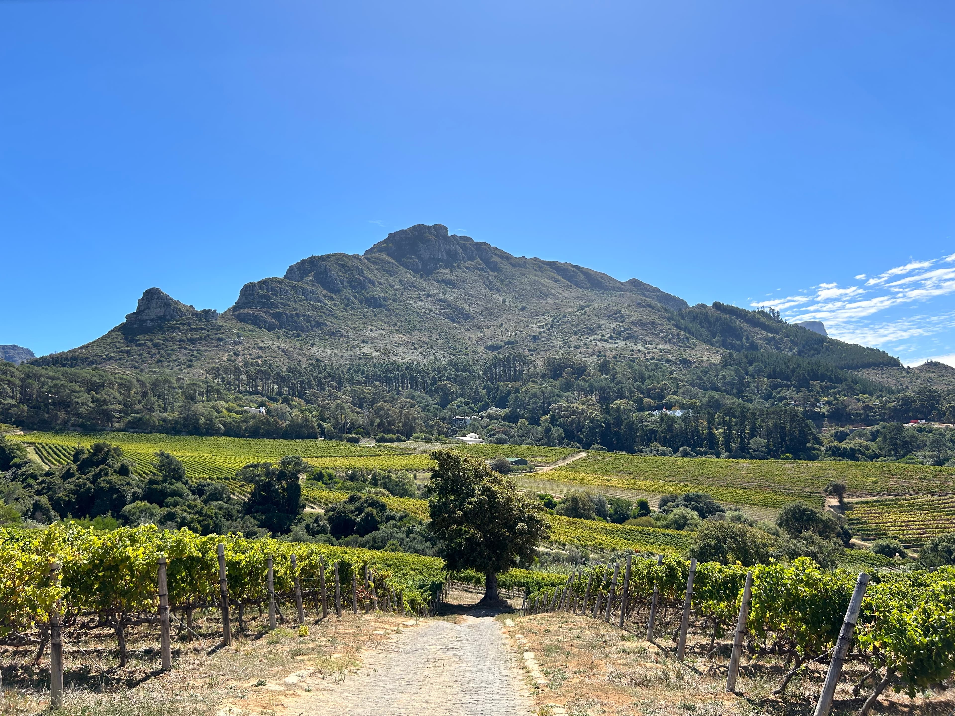 Cape Town galeri görseli 15