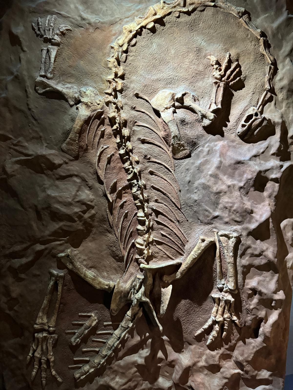 Cape Town galeri görseli 13