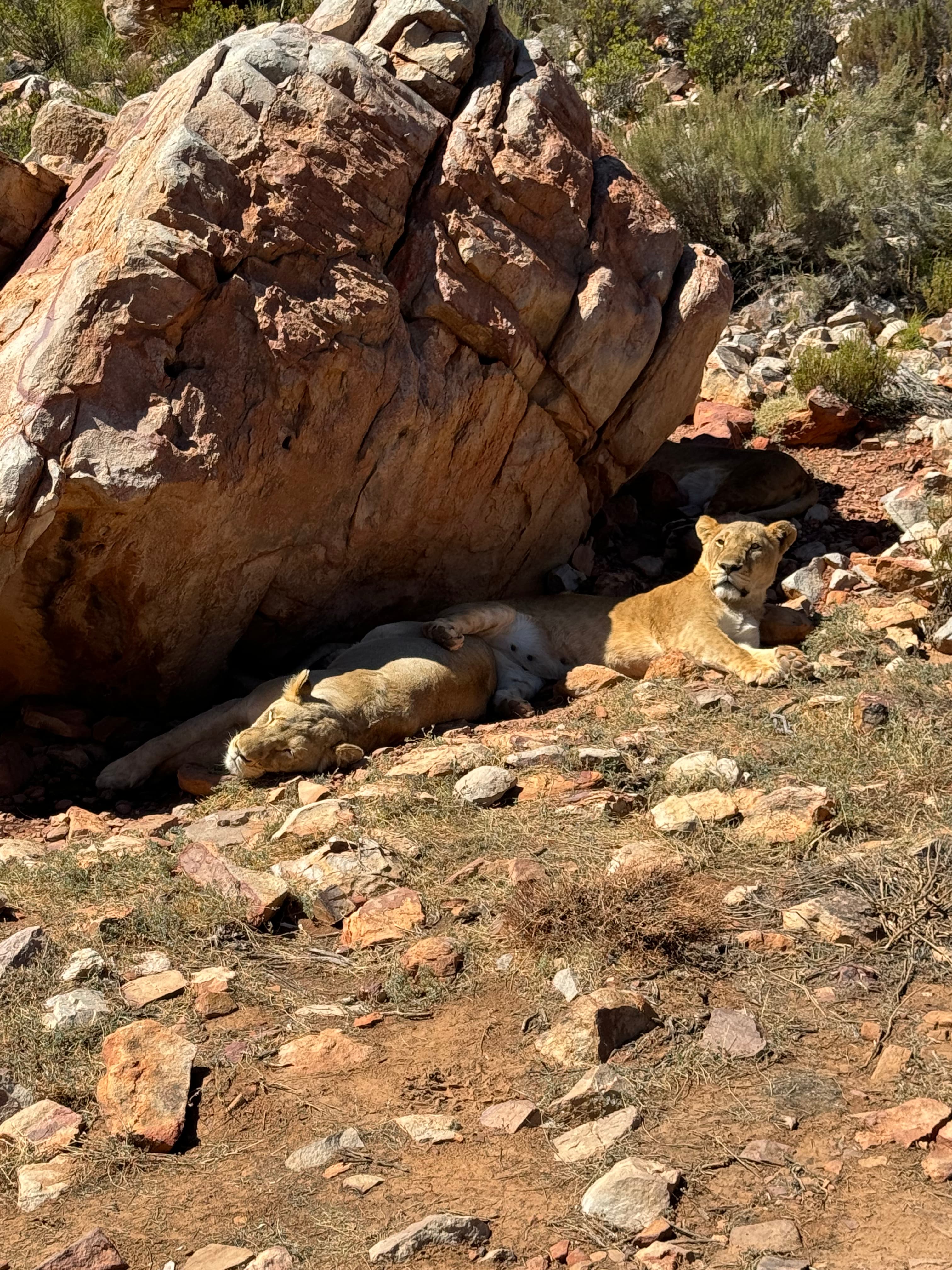 Doğa deneyimi görseli