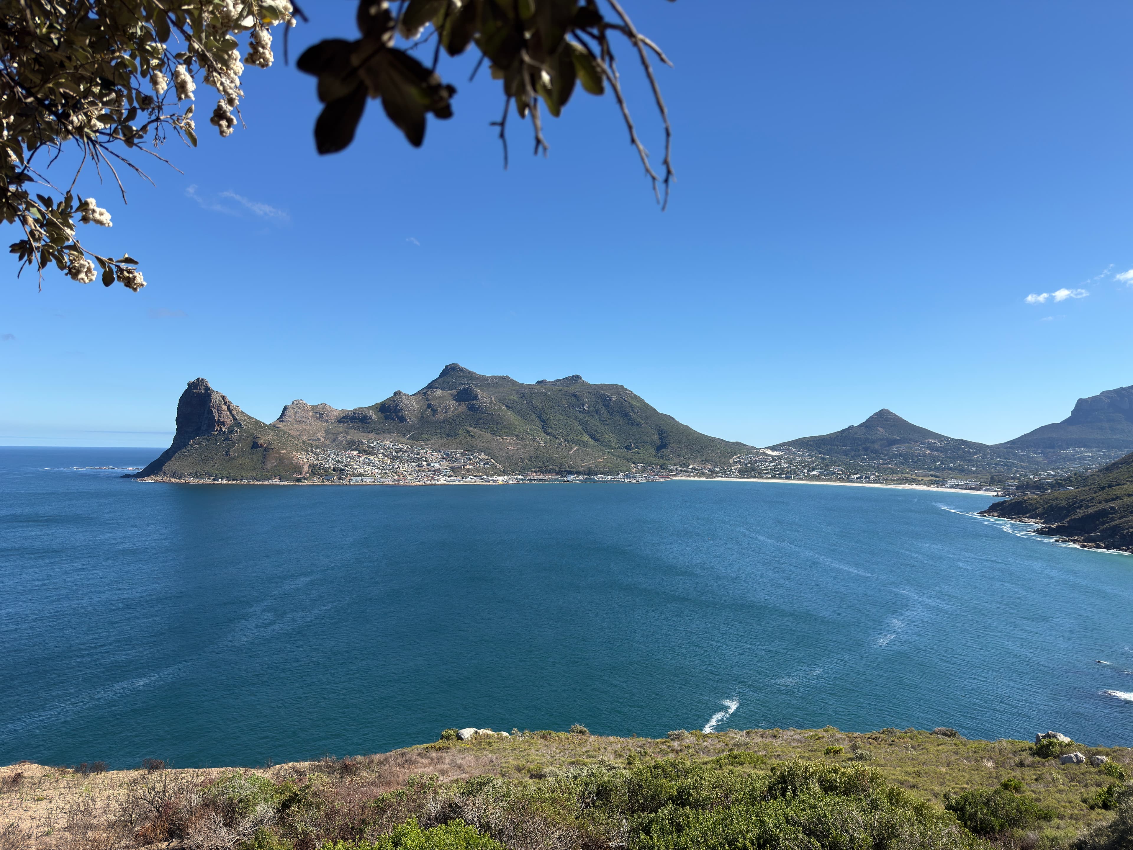 Chapman's Peak coastal road view